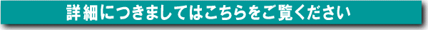 ���^���e�X�^�[�ڍ�